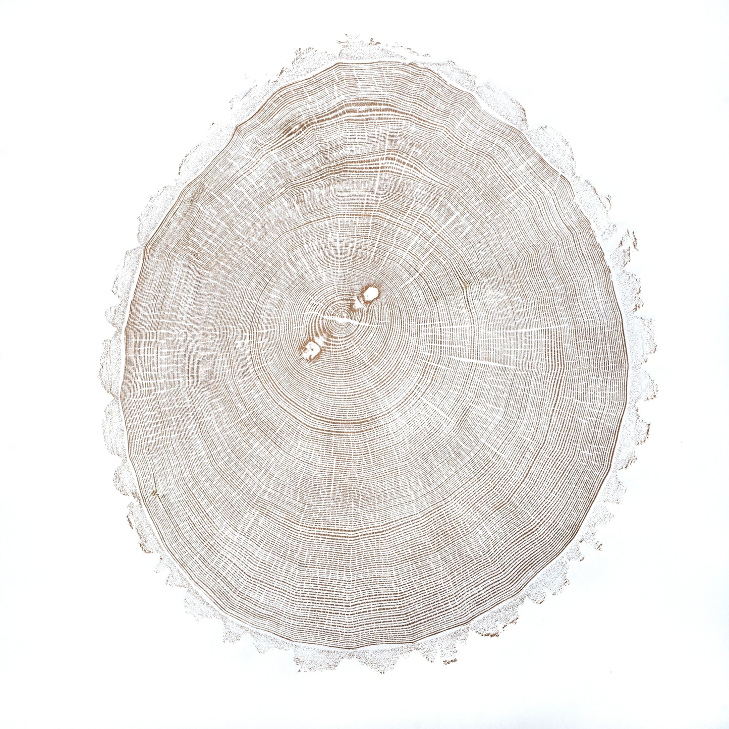 Shona Branigan Tree Ring Print (B) Swaledale Ash