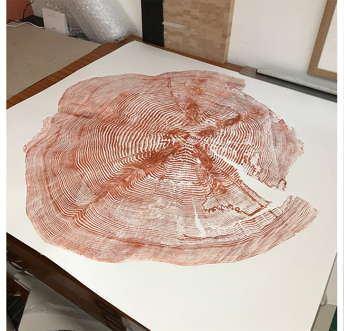 Shona Branigan Tree Ring Print Grizedale Douglas-Fir 1923-2018 (A)