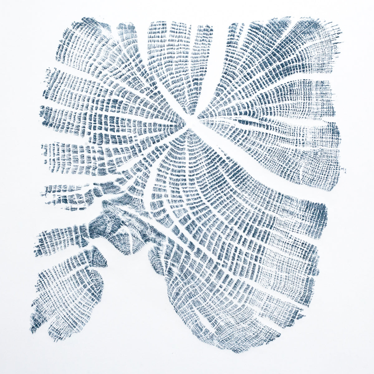 Shona Branigan Tree Ring Print Dronfield Oak