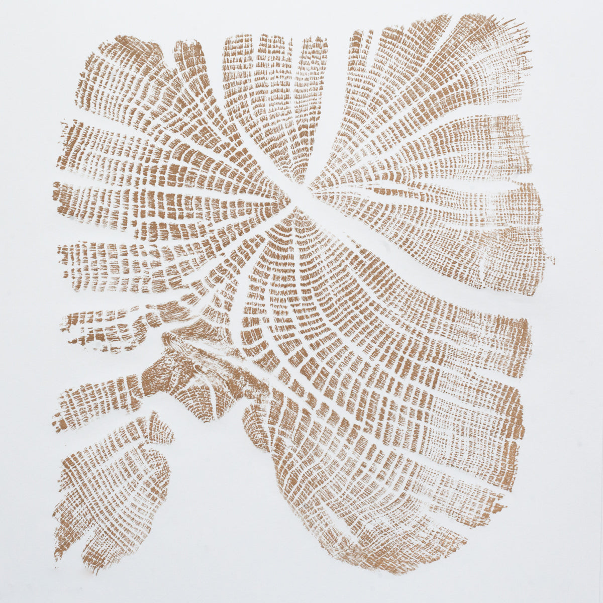 Shona Branigan Tree Ring Print Dronfield Oak