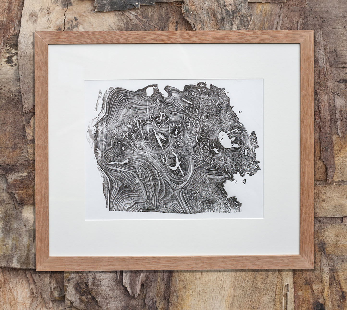 Shona Branigan Tree Ring Print Northumberland Elm Burr