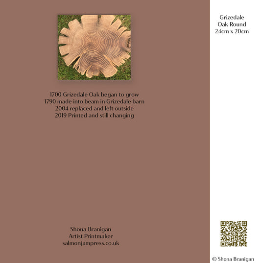 Greetings cards Grizedale Oak