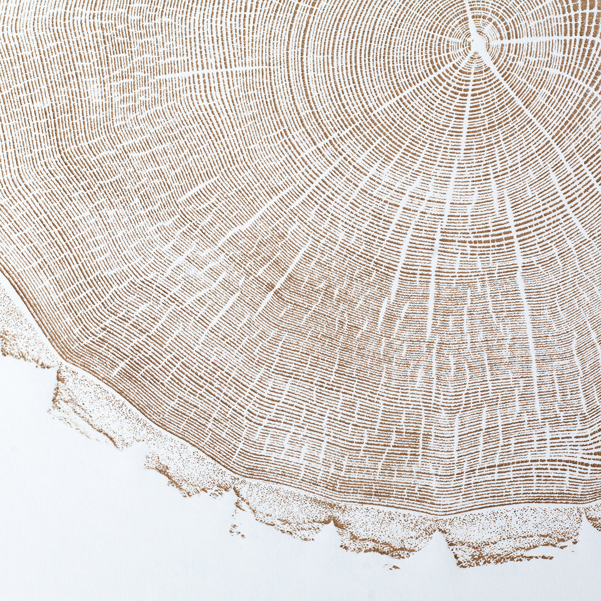 Shona Branigan Tree Ring Print (B) Swaledale Ash