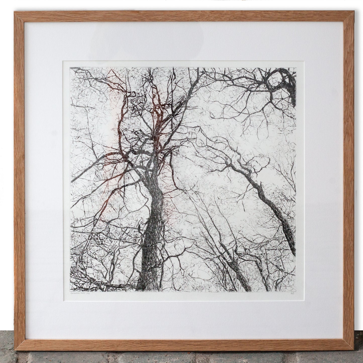 Shona Branigan Drypoint Print Grizedale oak skyline