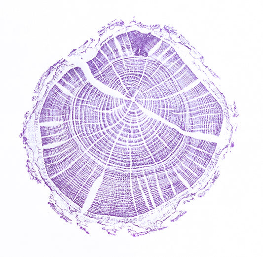 Shona Branigan Tree ring Print Caxton Damson (small)