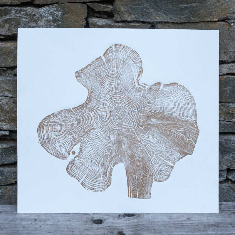 Shona Branigan Tree Ring Print Northumberland Yew