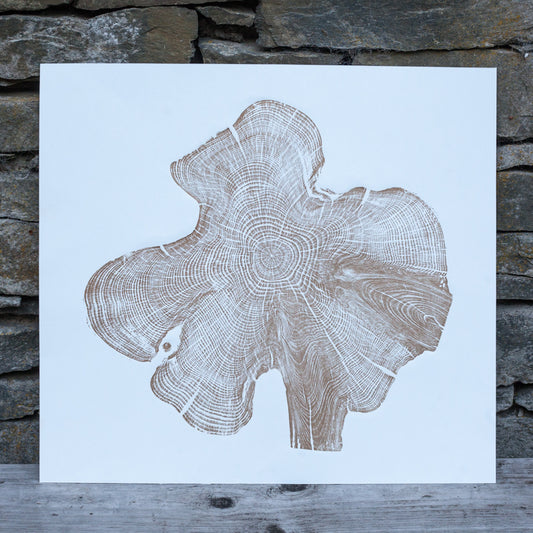 Shona Branigan Tree Ring Print Northumberland Yew