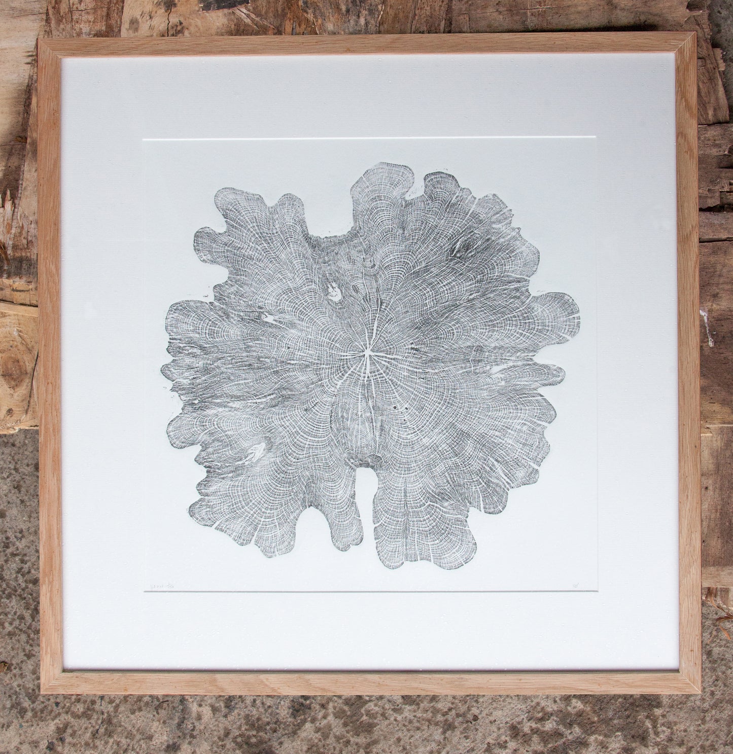 Yew tree round relief print art