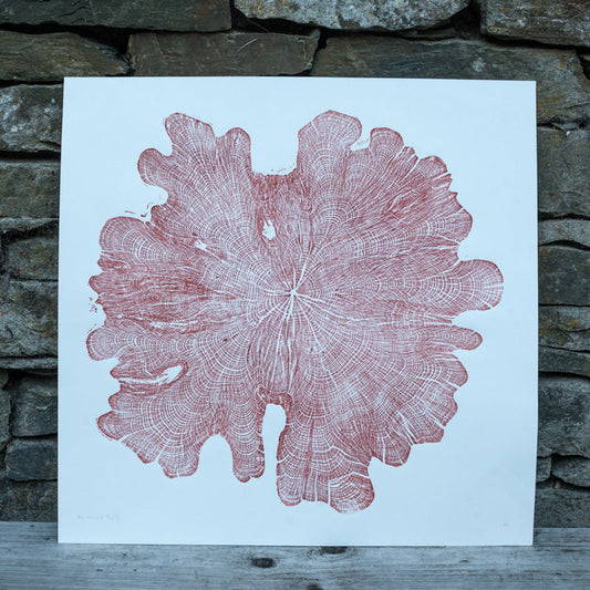 Shona Branigan Tree Ring Print Northumberland Yew 1913-2018 (A)