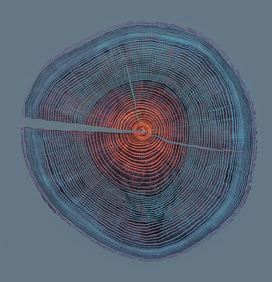 Shona Branigan Giclee Tree Print Andover Ash (Blue)