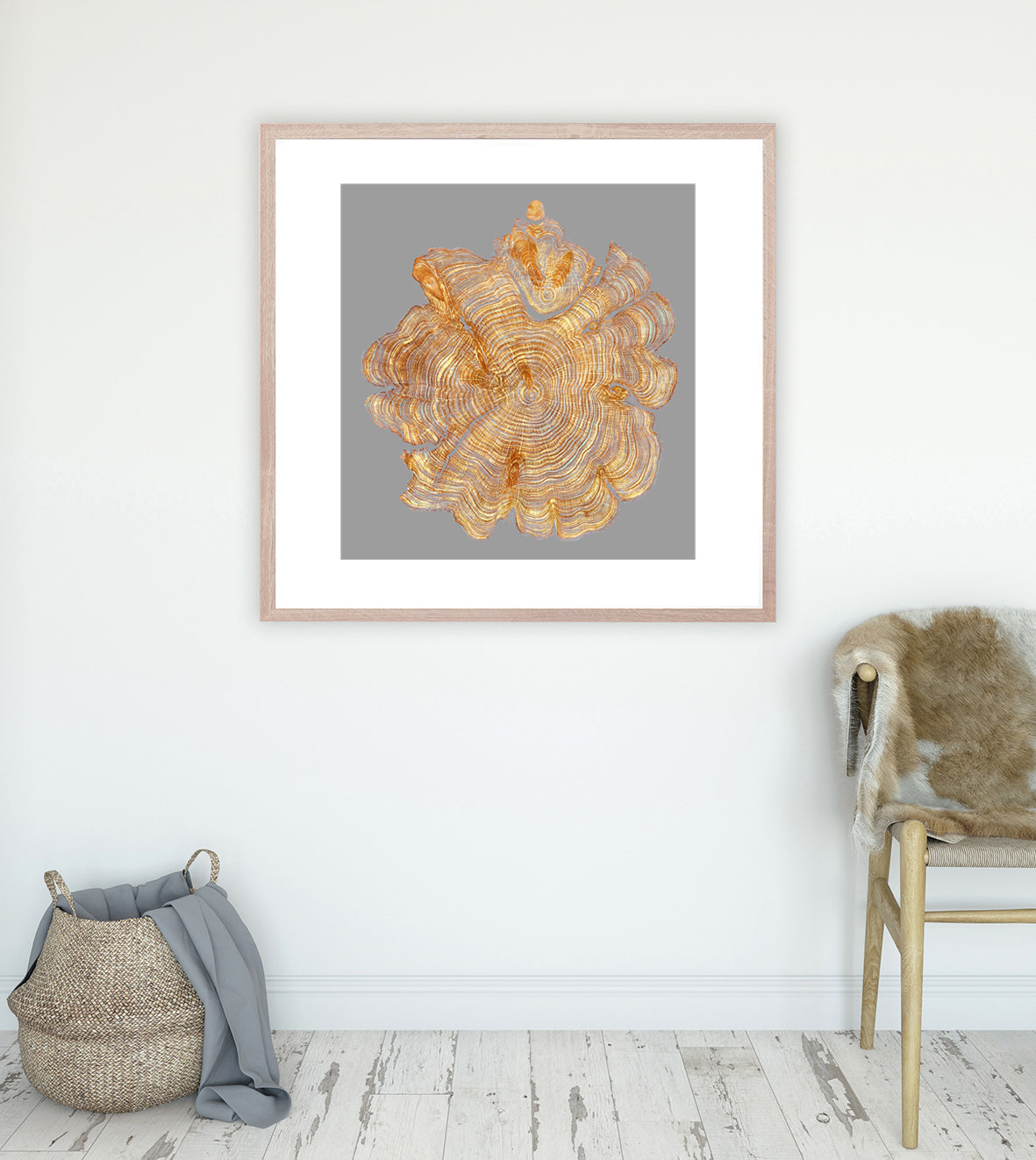 Shona Branigan Giclee Tree Ring Print Leyland Cypress