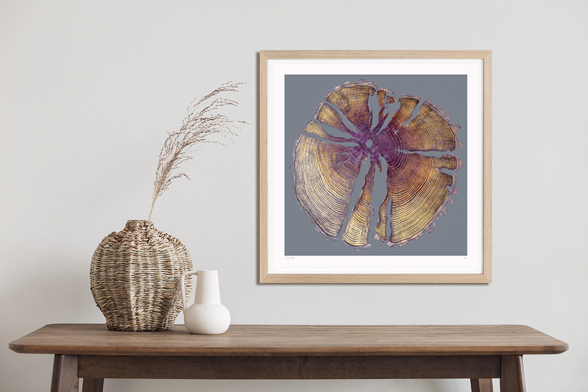 Shona Branigan Giclee Tree Print Octopus Ash