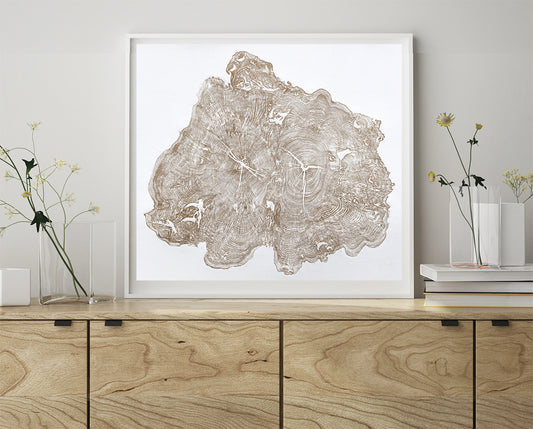 Shona Branigan Tree Ring Print Wray Castle Yew