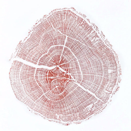 Shona Branigan Tree Ring Print Cumbrian Oak