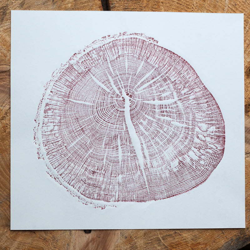 Shona Branigan Tree Ring Print Cumbrian Oak Round