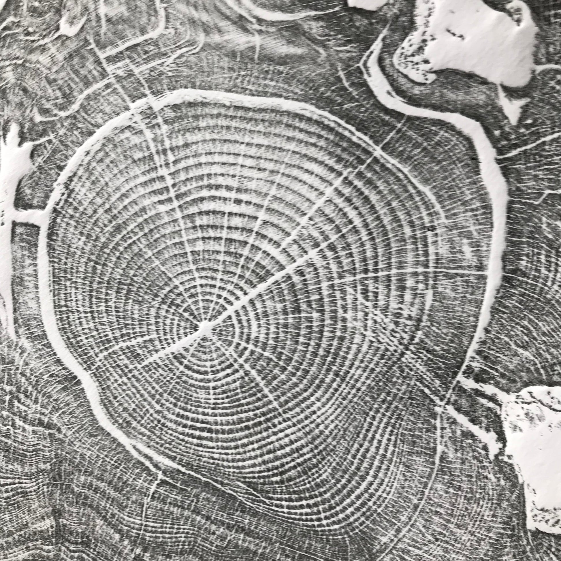 Yew tree round relief print art