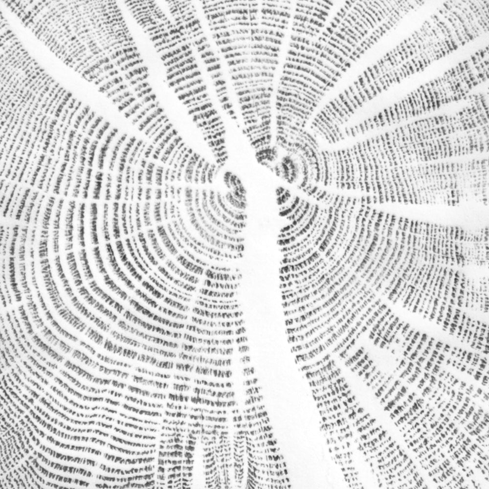Shona Branigan Tree Ring Print Cumbrian Oak Round