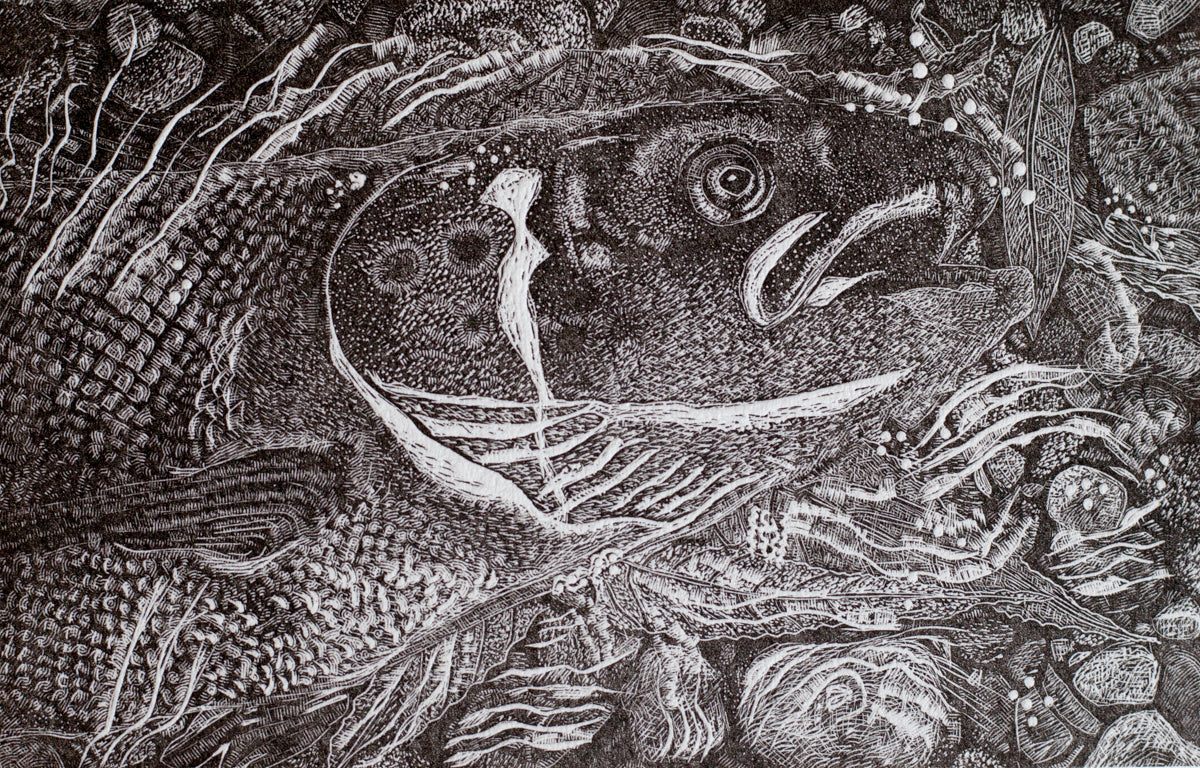 mounted original wood engraving art prints of River Tyne Salmon